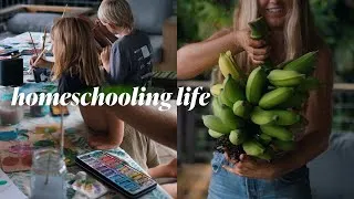 Thumbnail: Where I've been + what I've been cultivating | Hawai'i living