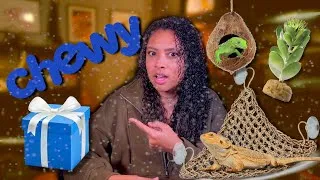Thumbnail: Reptile Gift Giving Guide | What Your Reptile Actually Wants