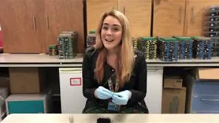 Thumbnail: ZooCast Shorts: Ep 1