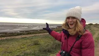 Thumbnail: Wild Snippets - RSPB Snettisham