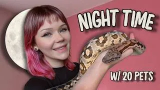 Thumbnail: My Night Time Routine with Exotic Pets (Snakes, Geckos, Frogs + MORE)