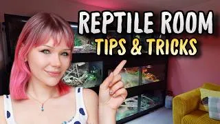 Thumbnail: How to Create the PERFECT Reptile Room