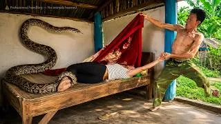 Thumbnail: 72 Hours No Escape: A Giant Python Invades the Bedroom and Traps a Helpless Girl!