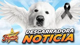 Thumbnail: ¡Lenguaje corporal del MAL! El ASQUEROSO CINISMO de la agresora al descubierto | El Precio DeLa Fama