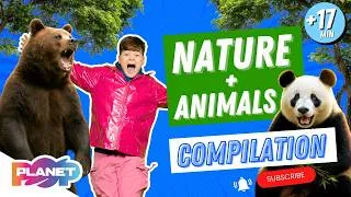 Thumbnail: 🐾🌍 Animals & Nature Compilation | Animal Songs for Kids | Planet Pop