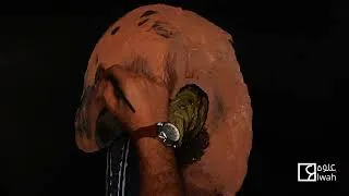 Thumbnail: The Silent Pelican - Oil Painting Film | Elwah Painting