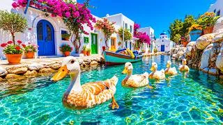 Thumbnail: Watching These Ducks Feels Like Therapy 🦆🌿 A Peaceful Flower Garden Escape 💚