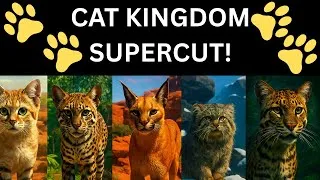 Thumbnail: Cat-Themed Zoo | The Cat Kingdom (SUPERCUT) – Planet Zoo Franchise Hard Mode