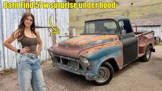 Thumbnail: I found my Unicorn 1957 shortbed on a farm and bought it (searched for over 10 years)