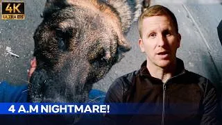 Thumbnail: Choked and Kicked: K9 Theo Fights to Save His Handler's Life | Code Zero [4K]