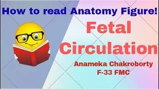 Thumbnail: Mastering the ANATOMY VIVA- Reading Figure- Fetal Circulation II How Fetal Circulation works