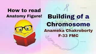 Thumbnail: Mastering the ANATOMY VIVA- Reading Figure- Structure of Chromosome II How chromosome is arranged
