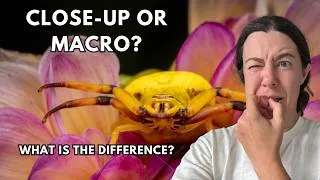 Thumbnail: Close up or macro? What is the difference?