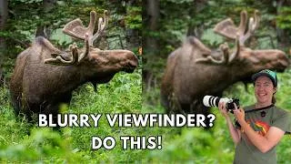 Thumbnail: Blurry viewfinder? Here is an easy fix