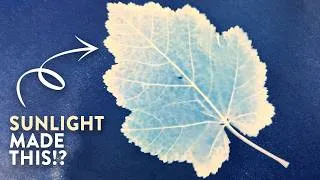 Thumbnail: Cyanotype: the most satisfying art form you've never tried!