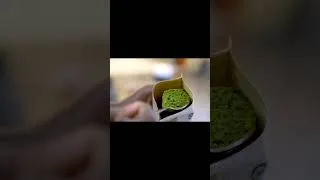 Thumbnail: #Shorts Moringa Tea