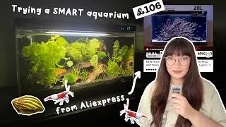 Thumbnail: I bought a SMART aquarium from Aliexpress
