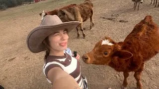 Thumbnail: bienvenus au Texas🤠