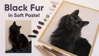 Thumbnail: Good vs Poor Reference - Black Fur in Soft Pastel