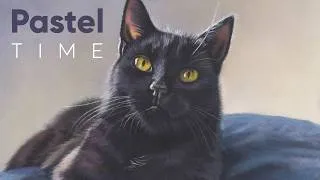 Thumbnail: Black Short Haired Cat in Soft Pastel - Timelapse