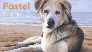 Thumbnail: Dog on the Beach in Soft Pastel - Timelapse