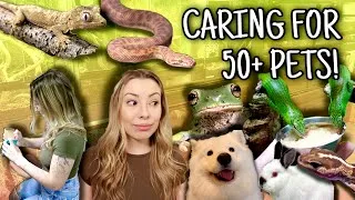 Thumbnail: My Daily Routine With 50+ Pets!! (Vlog Style)