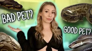 Thumbnail: Watch This BEFORE Getting A Ball Python!