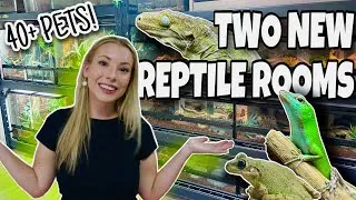 Thumbnail: REPTILE ROOM TOUR 2023!! NEW PET ROOMS