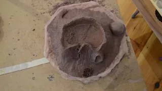 Thumbnail: This Tree Stump is Made Out of CLAY