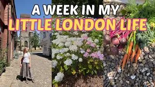 Thumbnail: MY LITTLE LONDON LIFE / Visiting Petworth, picking carrots and MOVING update!