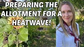Thumbnail: HOW I'M PREPARING MY ALLOTMENT FOR ANOTHER HEATWAVE / Allotment gardening UK