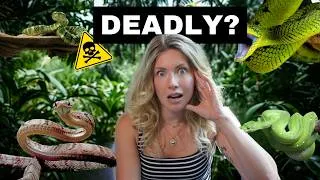 Thumbnail: Costa Rica Snake Guide: What Tourists Need to Know