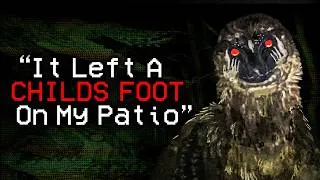 Thumbnail: The Bird That Mimics The Dead | Weird Birds