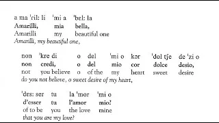 Thumbnail: "Amarilli" by Giulio Caccini. Diction.