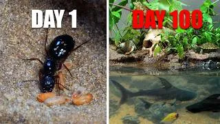 Thumbnail: Simulating an Ant Colony for 100 Days on Skull Island 🐜