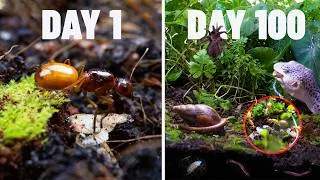 Thumbnail: Simulating a Forest for 100 Days 🐜 I Built an Ant Colony Ecosystem