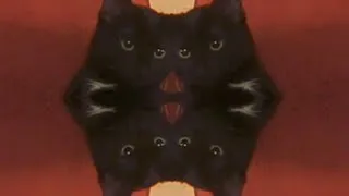 Thumbnail: Psychic TV - Black Cat