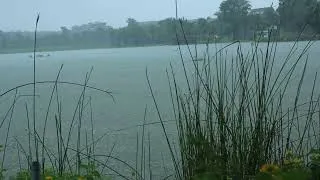 Thumbnail: Peaceful Rainy Lake Ambience 🌧️ Calm Water & Nature Sounds for Sleeping
