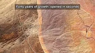Thumbnail: One Cut Decides Everything: Inside A Working Timber Reveal Mill