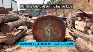 Thumbnail: Written Off, Then Opened: Timber Reveal Value Revealed