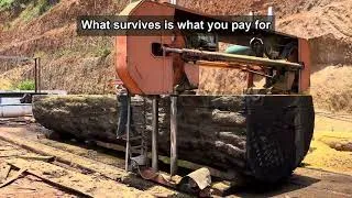 Thumbnail: Why Hardwood Costs What It Does: Timber Reveal From The Mill