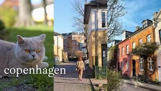 Thumbnail: copenhagen vlog