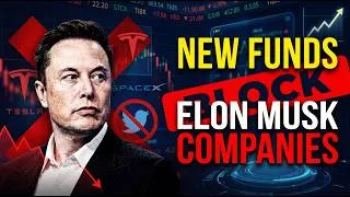 Thumbnail: Subversive Capital Anti Elon Musk ETF - Stock Market