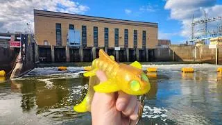 Thumbnail: We Found a Musky GOLDMINE!!