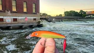 Thumbnail: FEEDING FRENZY Under a Gushing Storm Drain!!