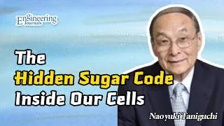 Thumbnail: The Hidden Sugar Code Inside Our Cells