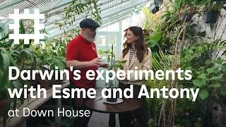 Thumbnail: Darwin's experiments with Esme and Antony