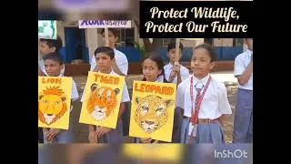 Thumbnail: Save Big Cats