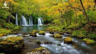 Thumbnail: Beautiful Autumn Music 🍁 Healing Piano Music for Mind and Soul