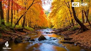 Thumbnail: Beautiful Autumn Music 🍁 Stop Overthinking, Stress Relief Music With Autumn Melodie